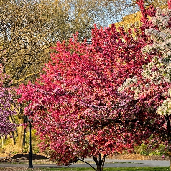 Meet your Posher, Glenda - Picture 8 of 16